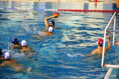 IMG_3428