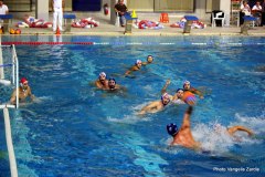 IMG_3450