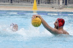 apollon_galanidis