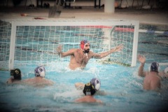 APOLLON_AEK-12