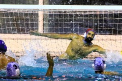 391692753_369679102054255_2613409111764317517_n