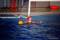 ΑΠΟΛΛΩΝ_ΚΟΠΗ-12