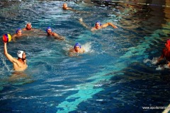 ΑΠΟΛΛΩΝ_ΚΟΠΗ-13