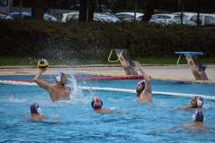 apollon_osfp-2021-8