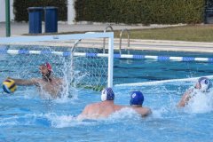 172850232_488450828855595_4397515633634422245_n